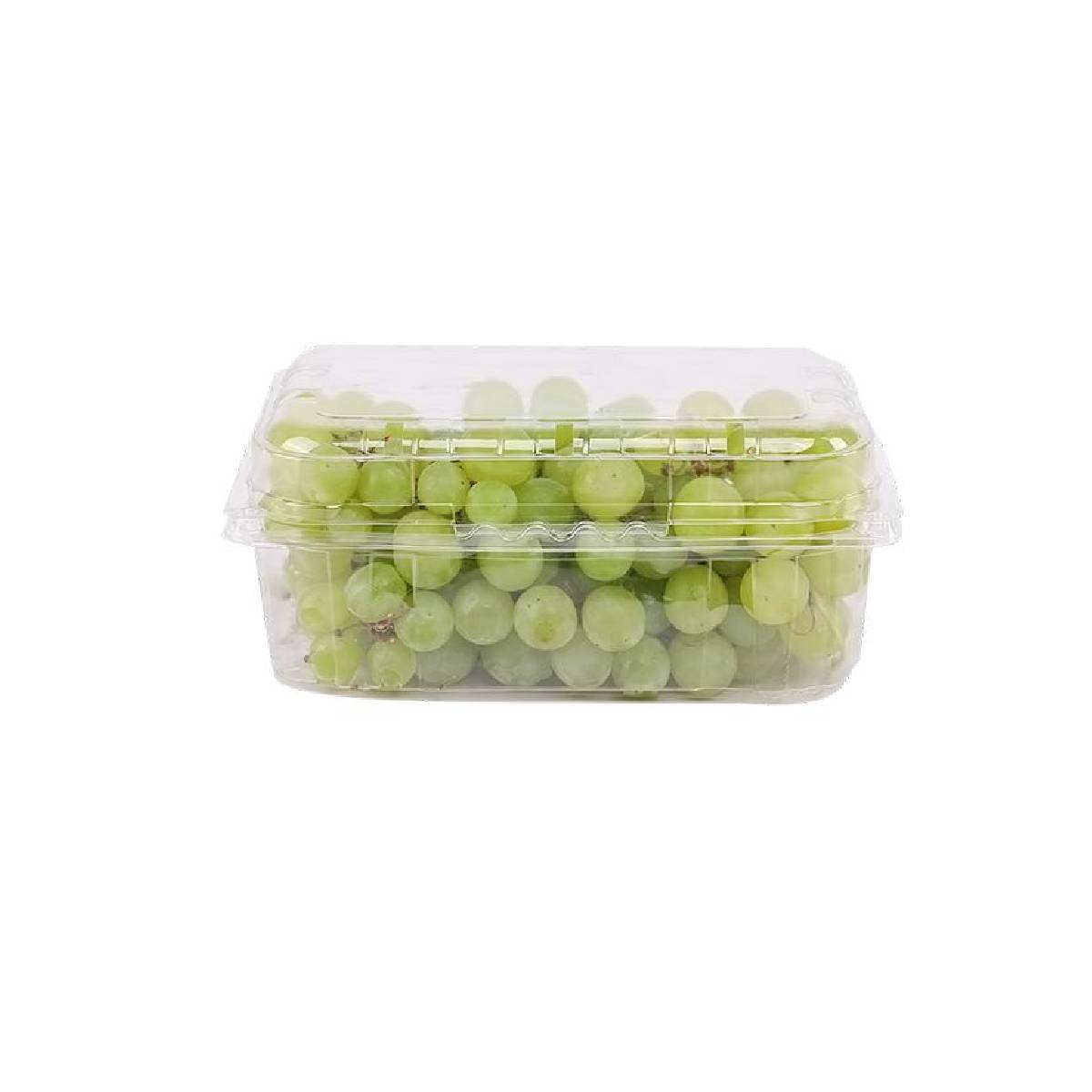 Grapes White seedless Spain 500g Pack