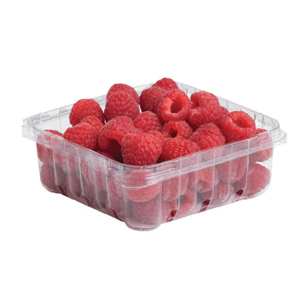 Bionest Raspberries Organic Spain 125g Pack