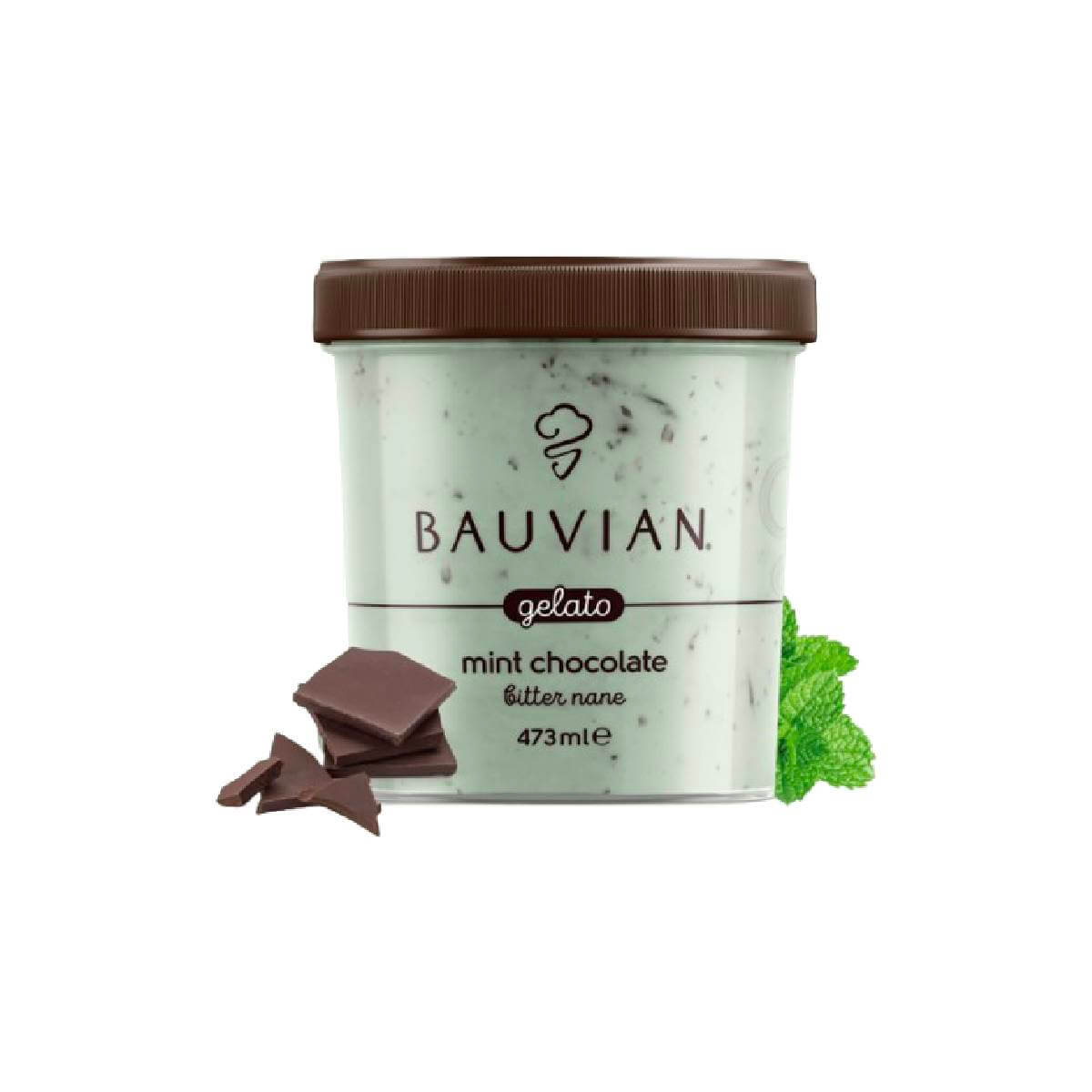 Turkish Bauvian Mint Chocolate Ice Cream (Bitter Nane Dondurma) 437ml