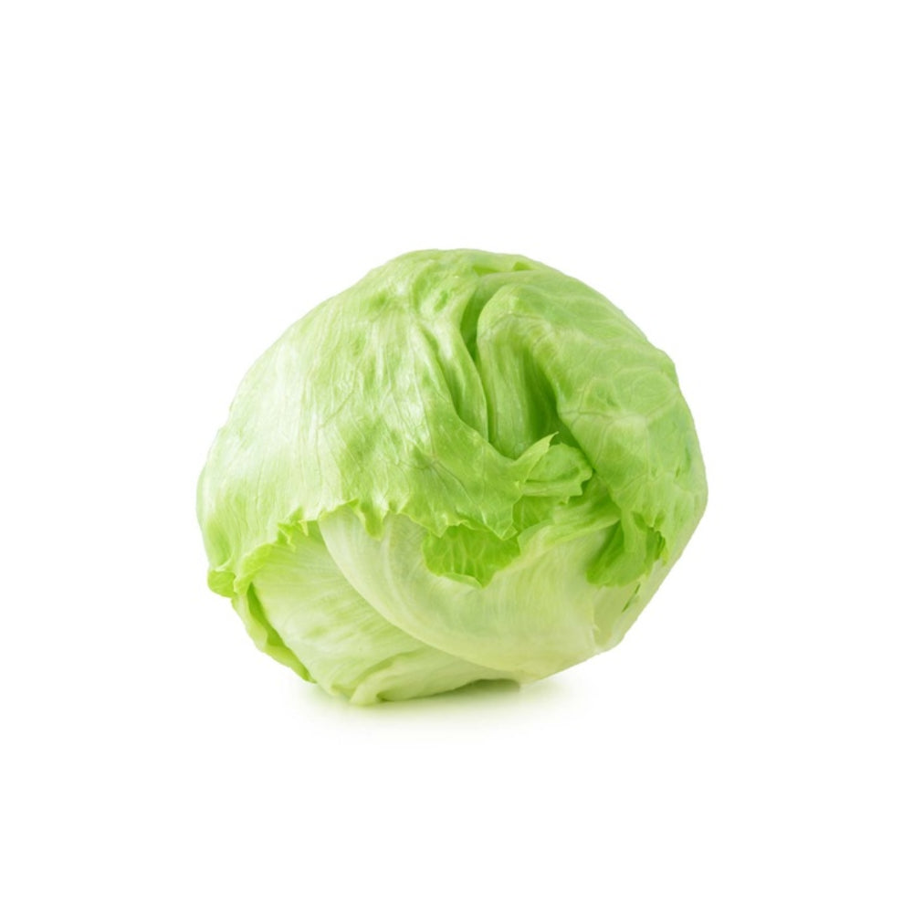 Lettuce Iceberg Everest Netherlands 500g-600g Piece
