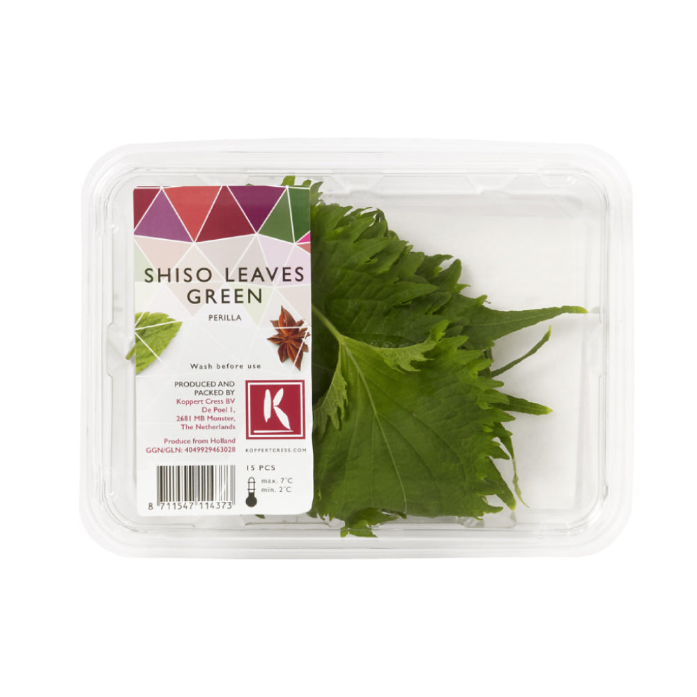 Shiso Leaves Green Netherlands 15 Pieces