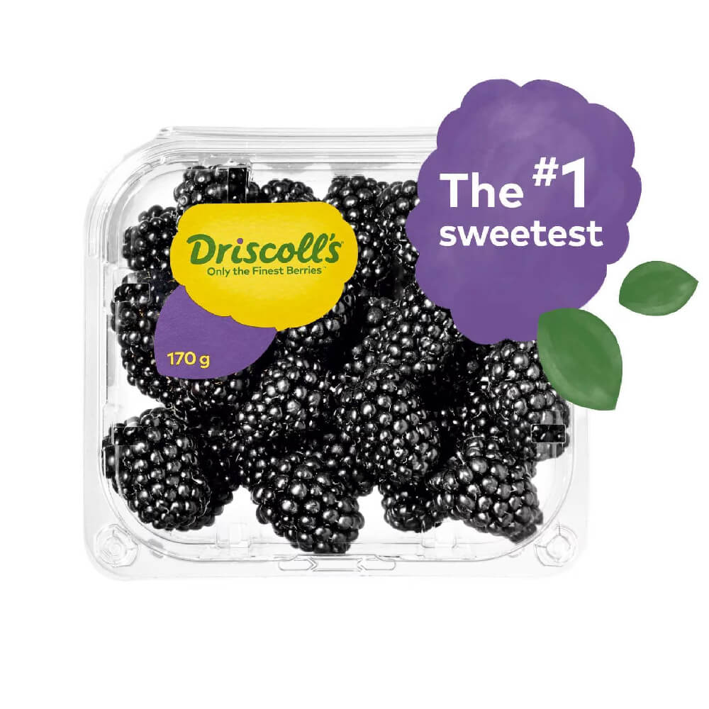 Driscoll's Blackberry Portugal 170g Pack