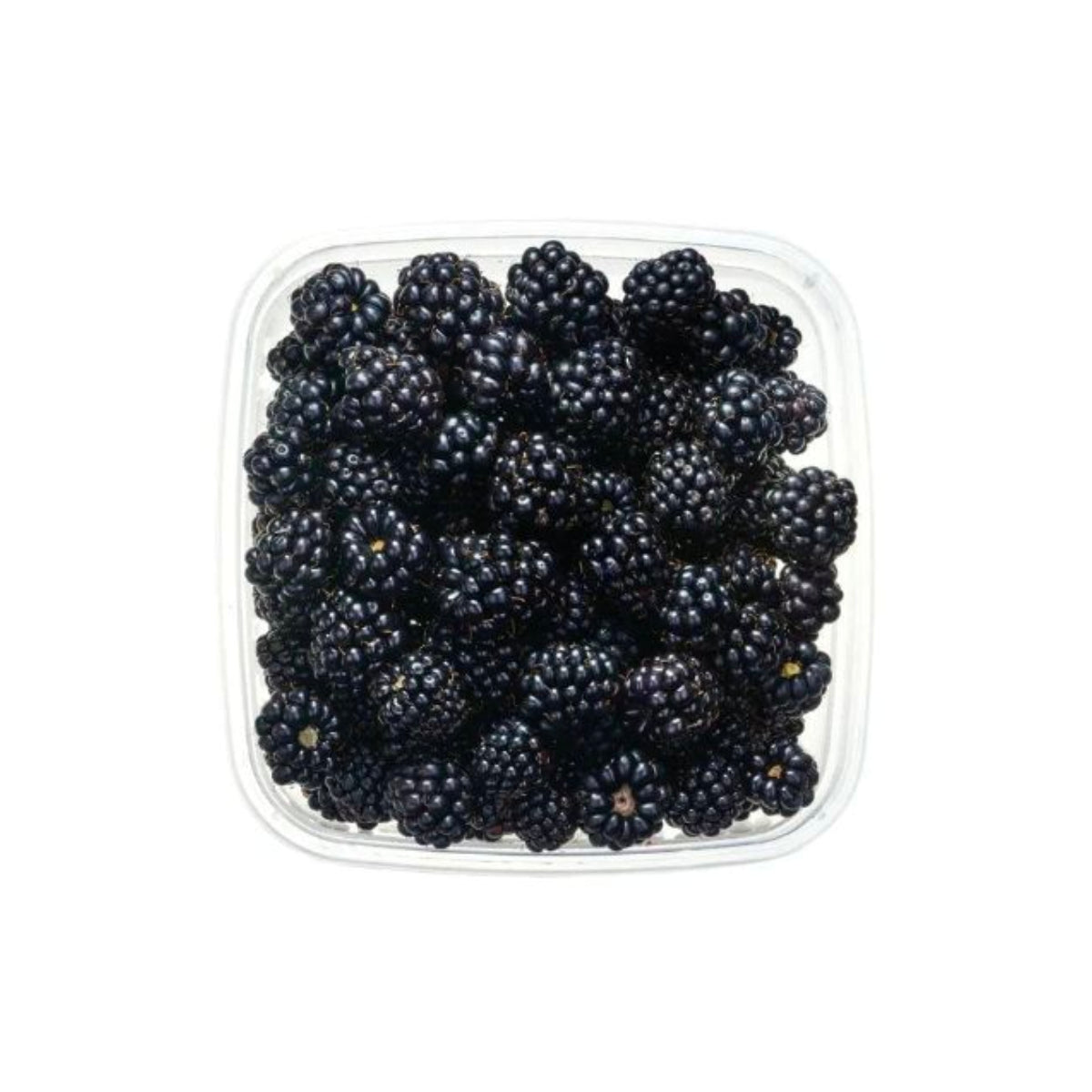 Blackberry Morocco 125gm Packet