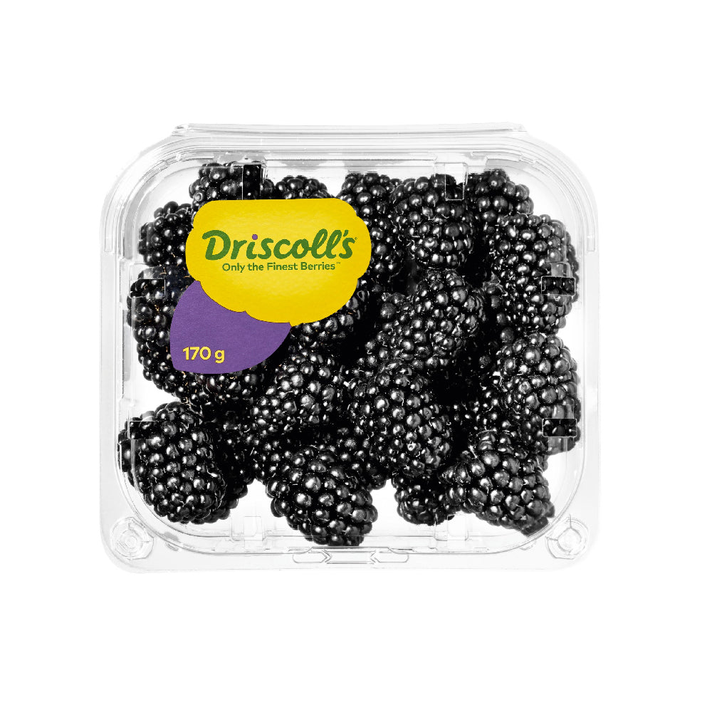 Driscoll's Blackberry Morocco 170g Pack