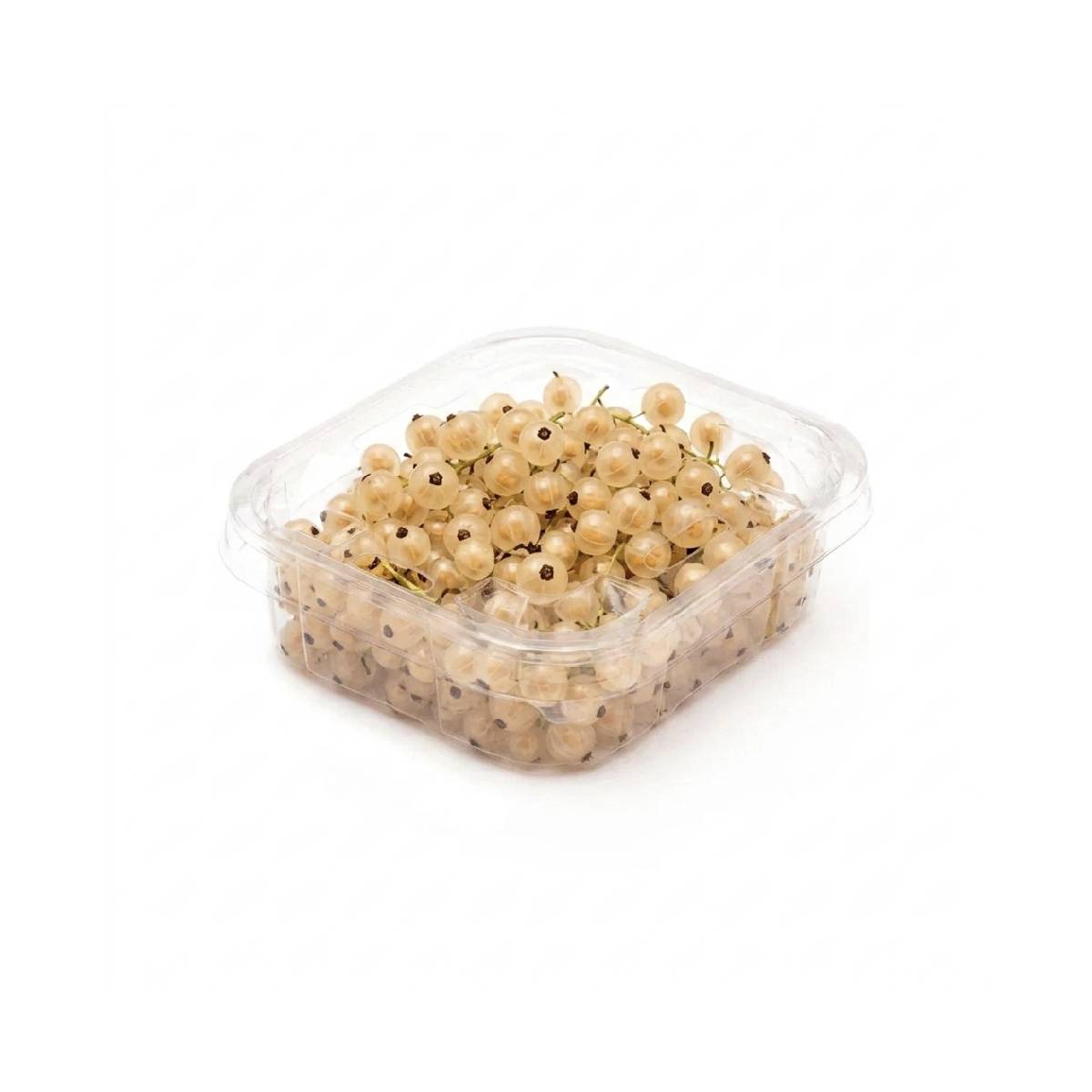 White Currents Holland 150gm Packet