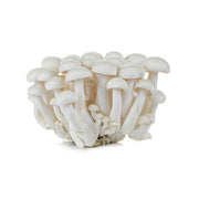 Mushroom Shimeji White Netherlands 150g Pack
