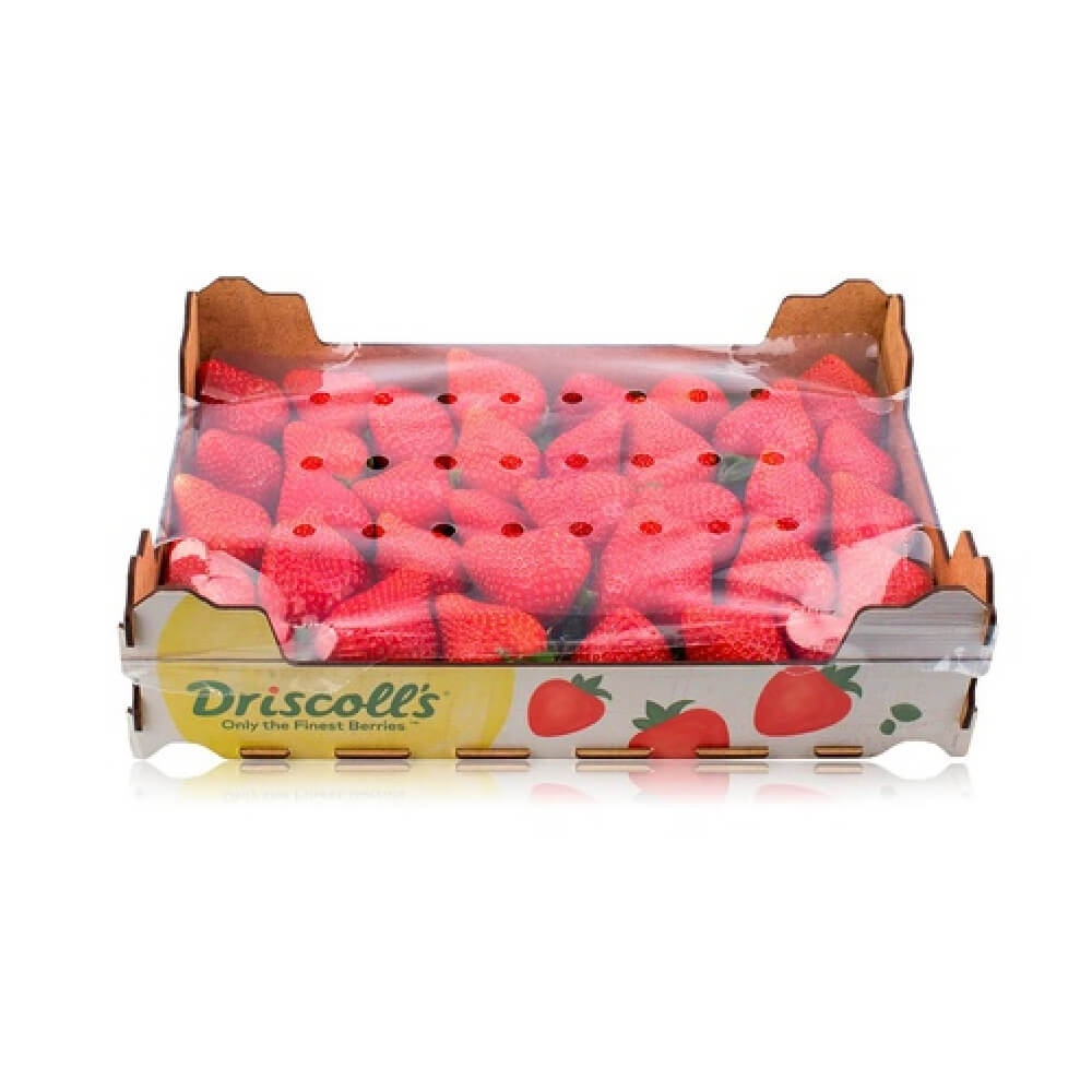Driscoll's Strawberry Uae 1 Kg Box