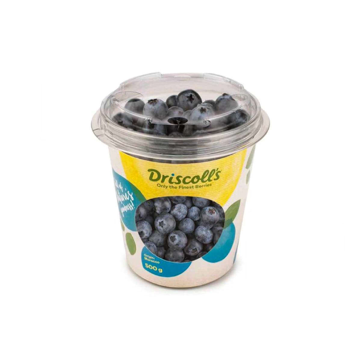 Driscoll's Blueberry Morocco 500g Pack
