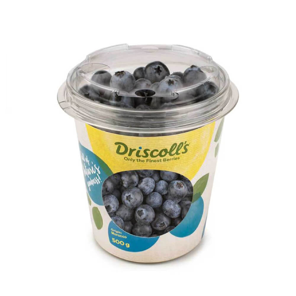 Driscoll's  Blueberry Morocco 500g