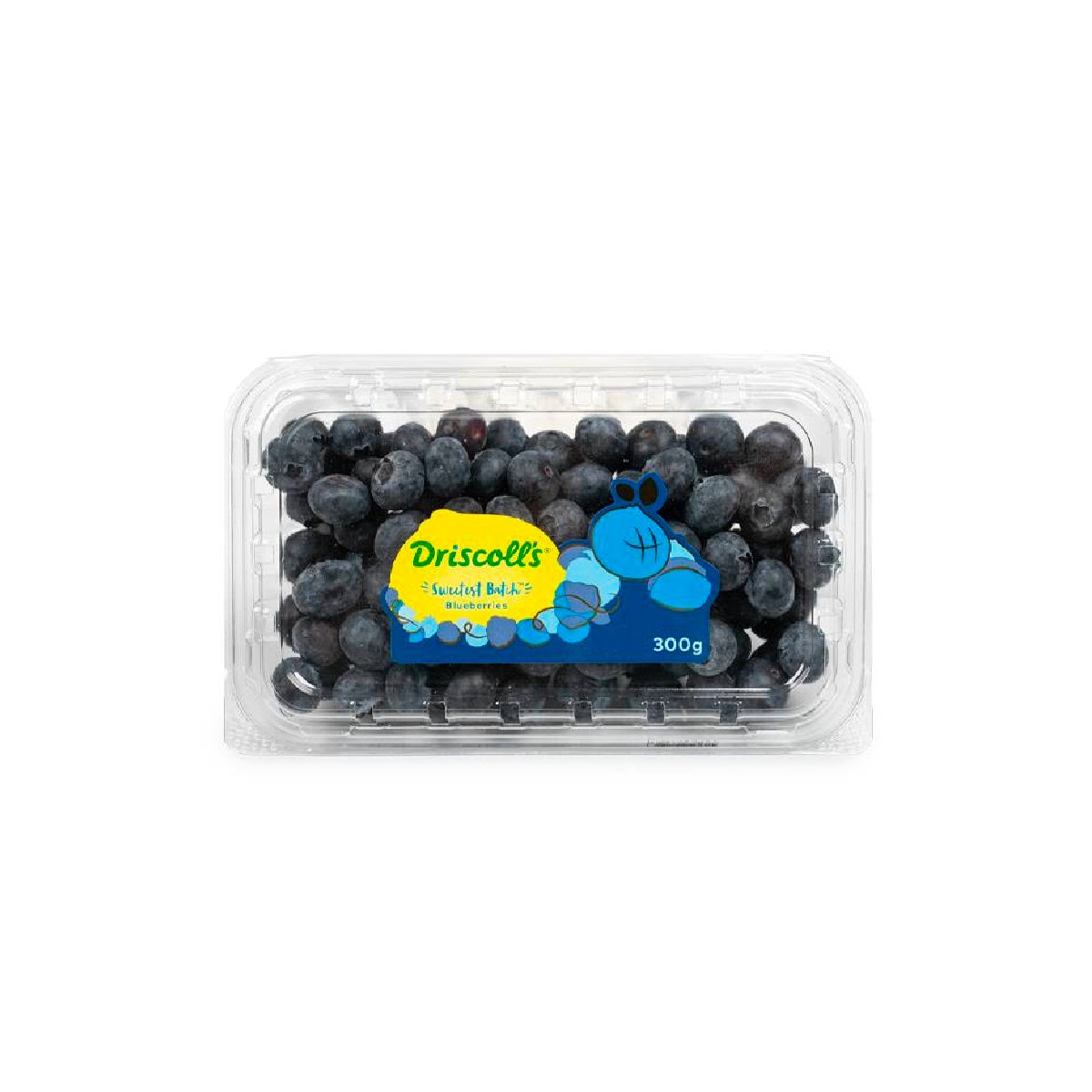 Blueberry Zimbabwe 300gm Packet