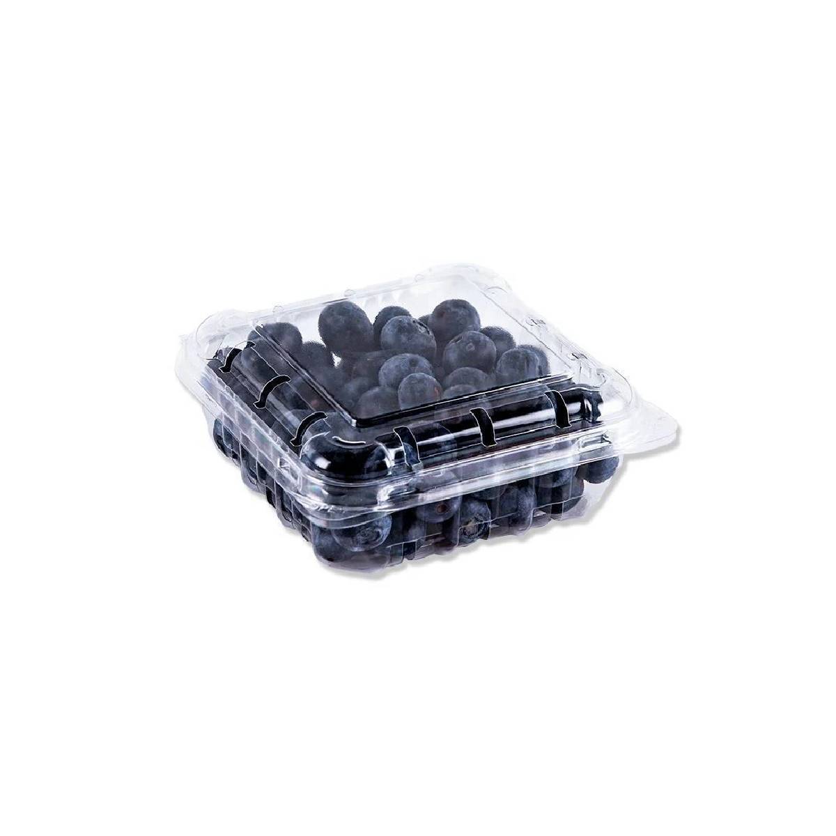 Blueberry Jumbo Romania 125gm Packet