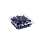 Blueberry Jumbo Romania 125gm Packet