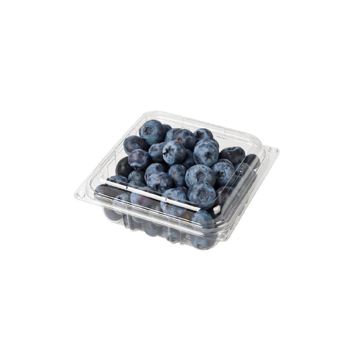 Blueberry Jumbo Romania 125gm Packet
