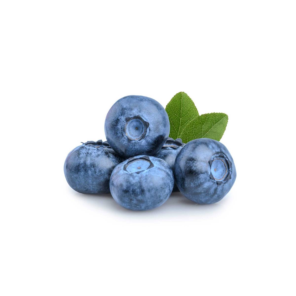 Blueberry Jumbo Romania 125gm Packet