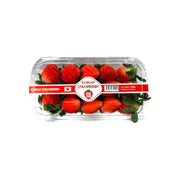 Strawberry Korea 330g Pack