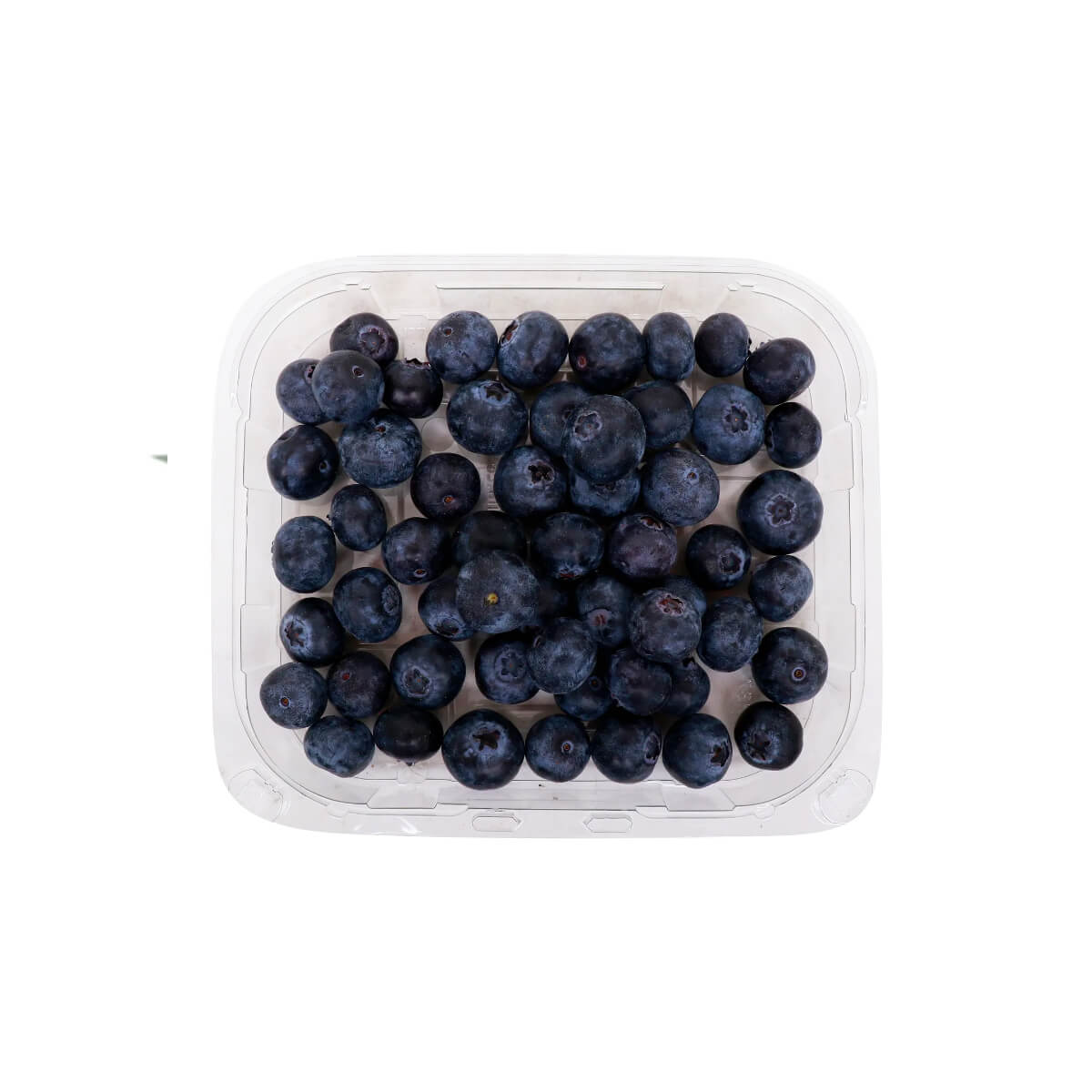 Blueberry Morocco 125G Pack