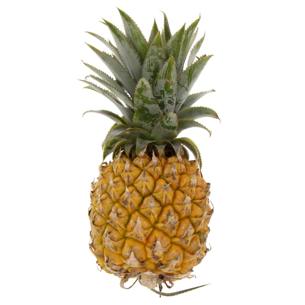 Baby Pineapple