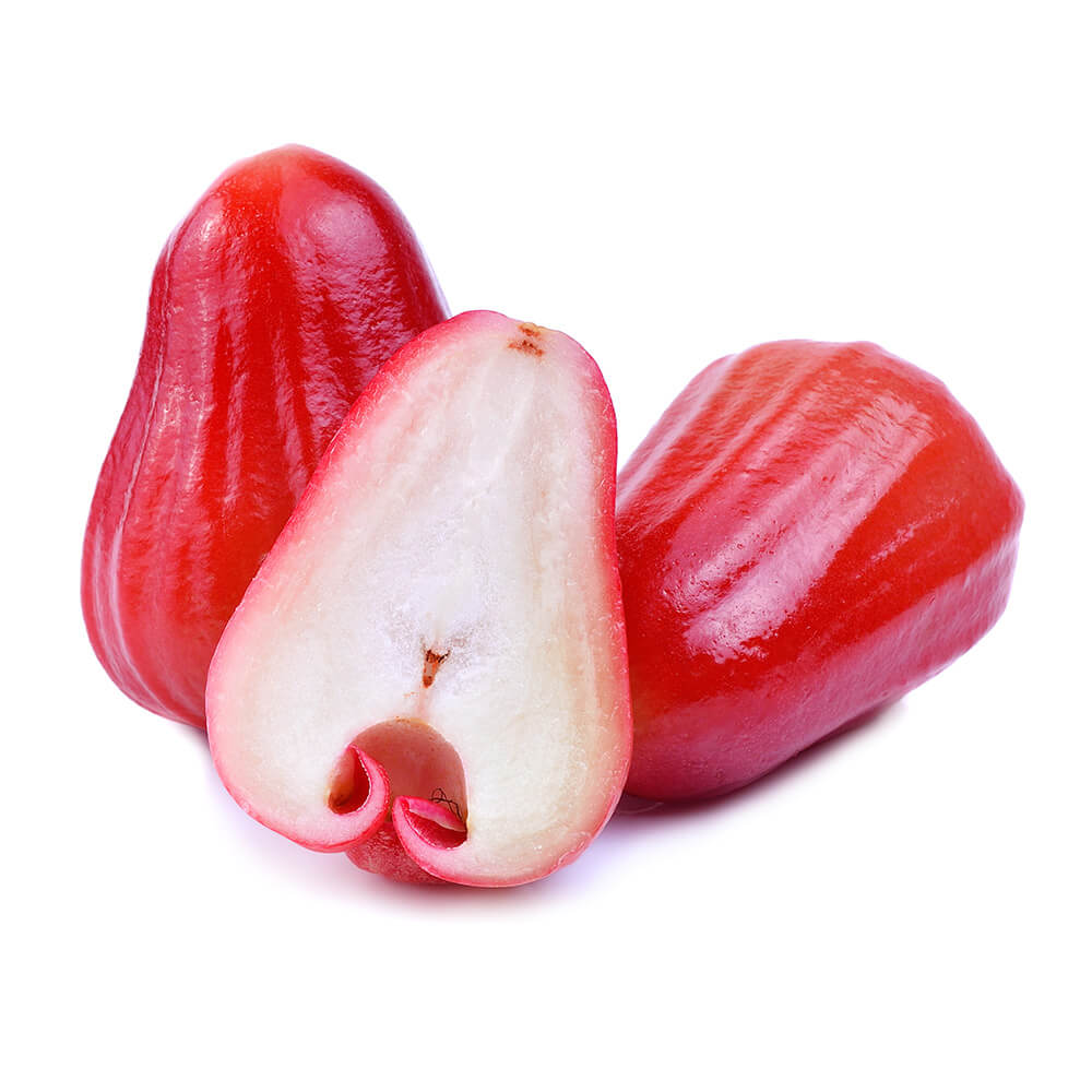 Rose Apple Red