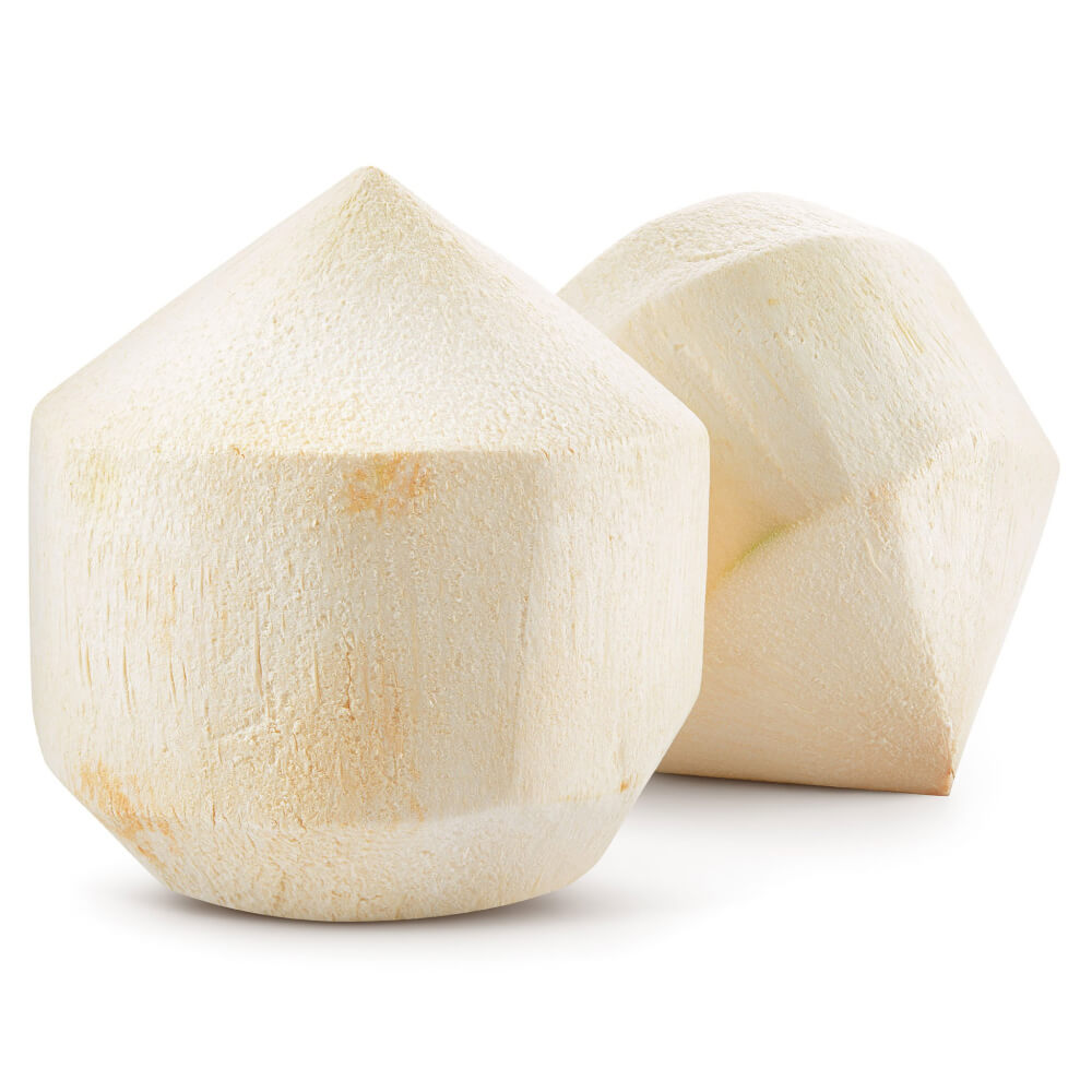 Coconut
