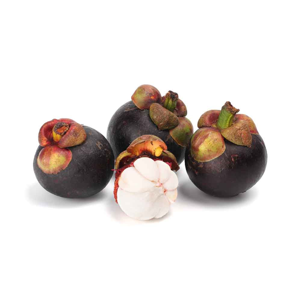 Mangosteen