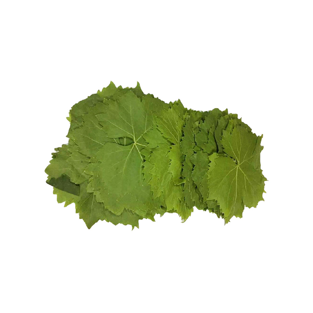 Vine Leaves