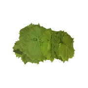 Vine Leaves