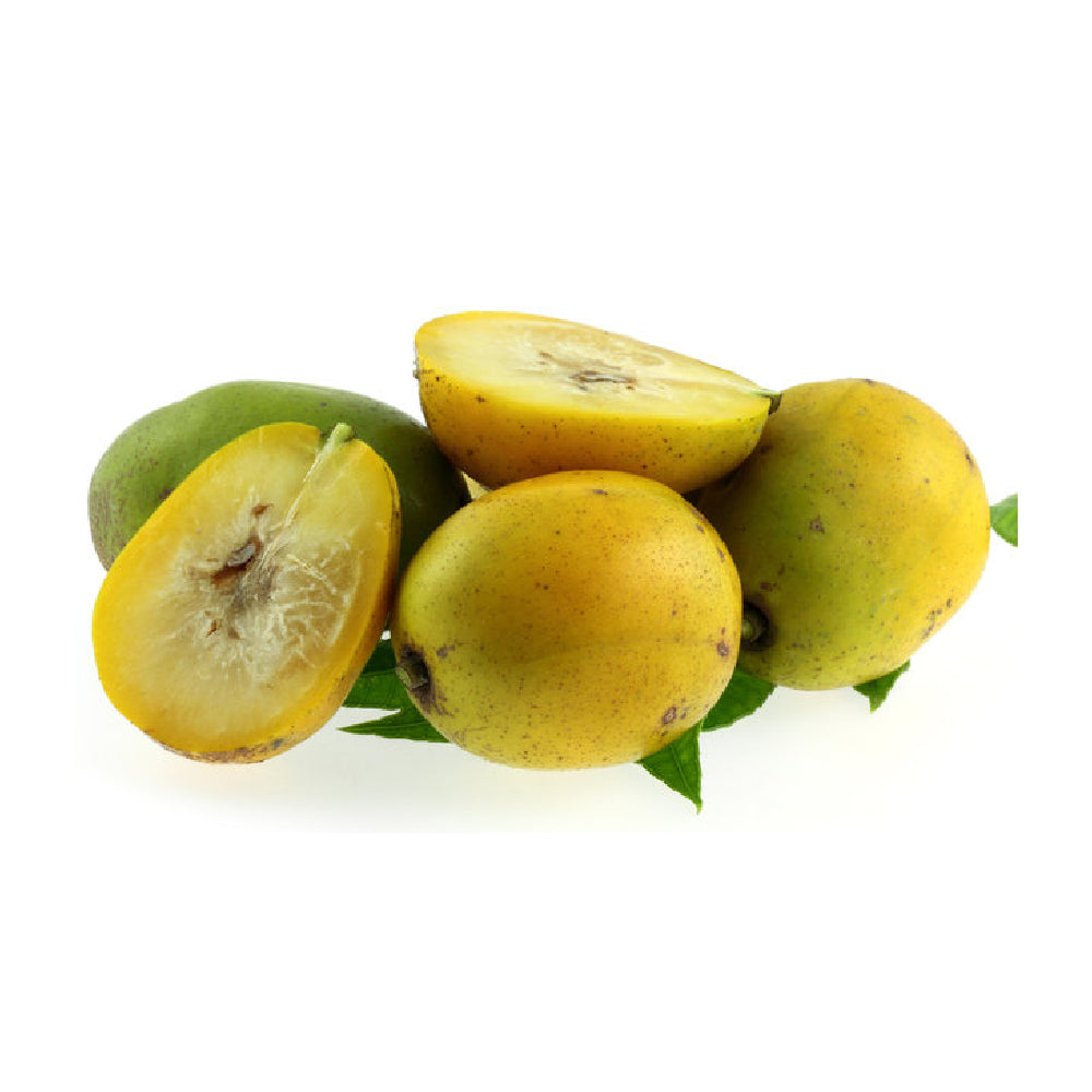 Umbu Plum