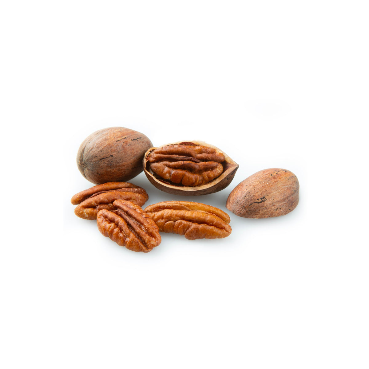 Pecan Nut with Shell