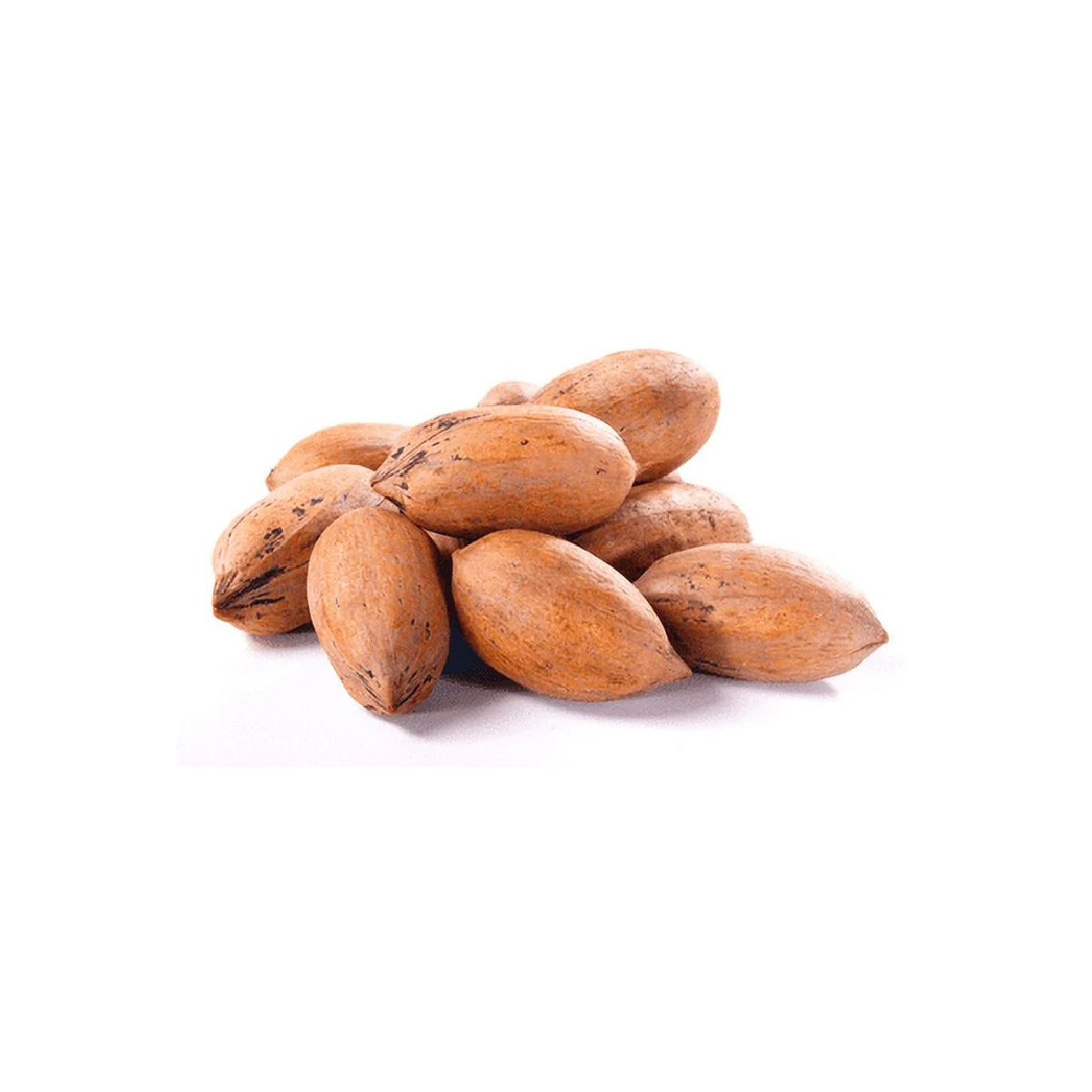 Pecan Nut with Shell