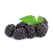 Blackberry
