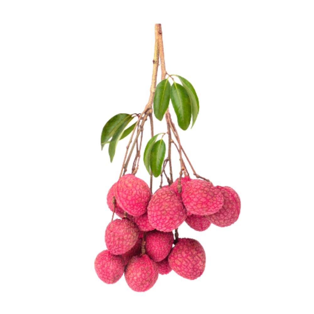 Lychee with Leaves