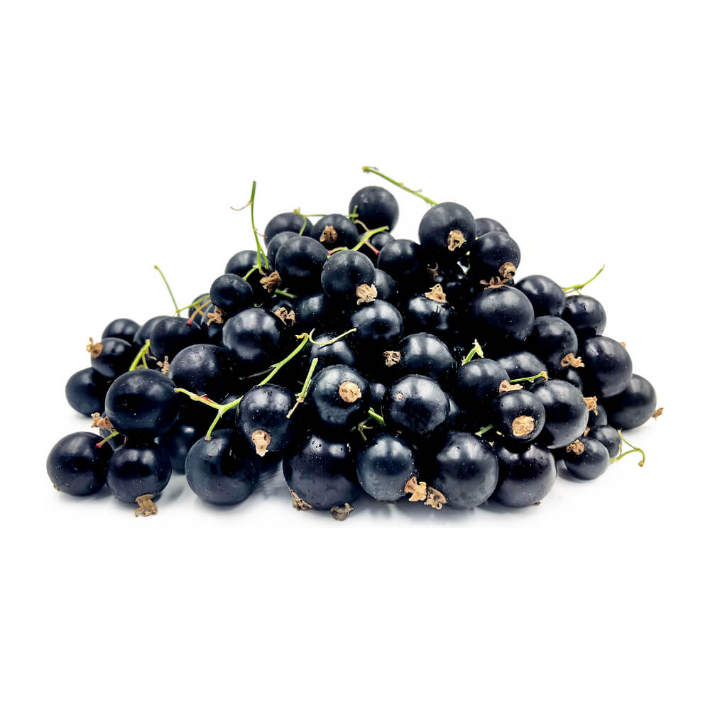 Black Currant