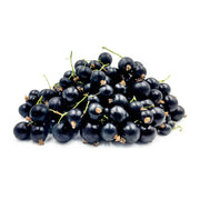 Black Currant