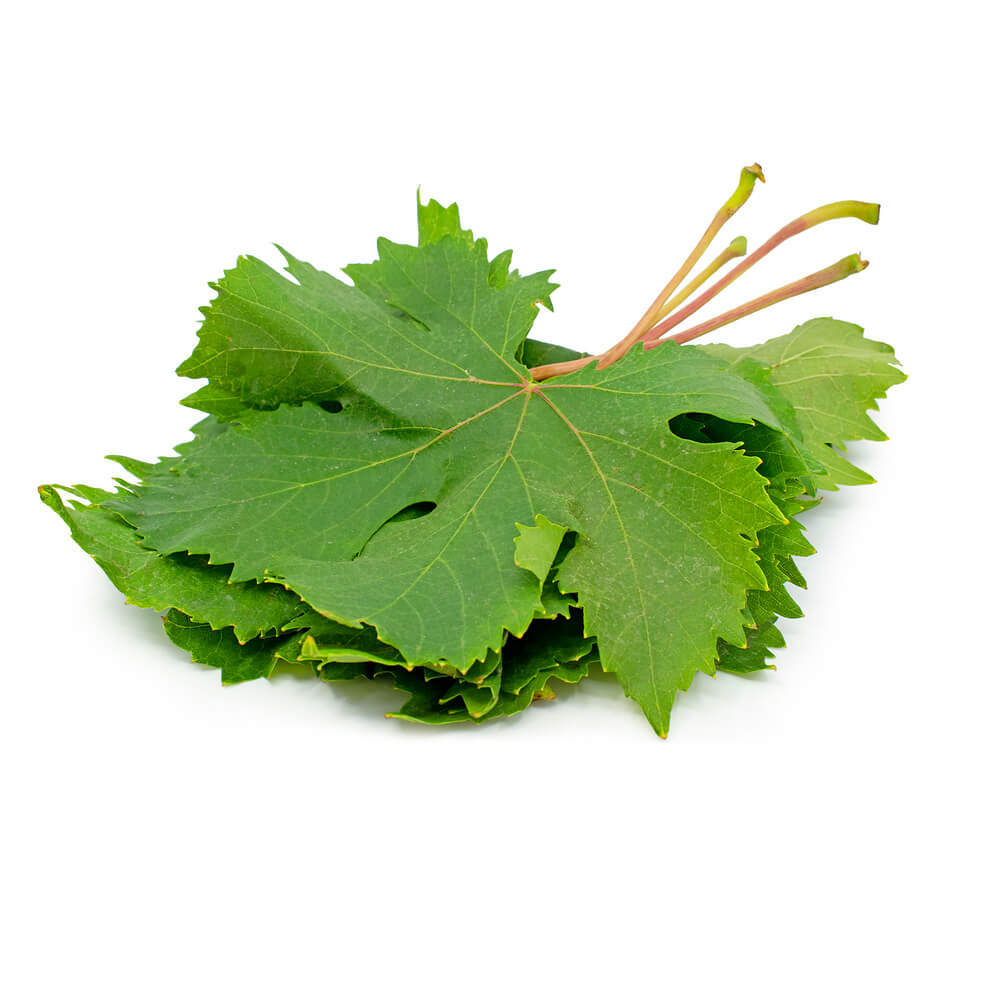 Vine Leaves