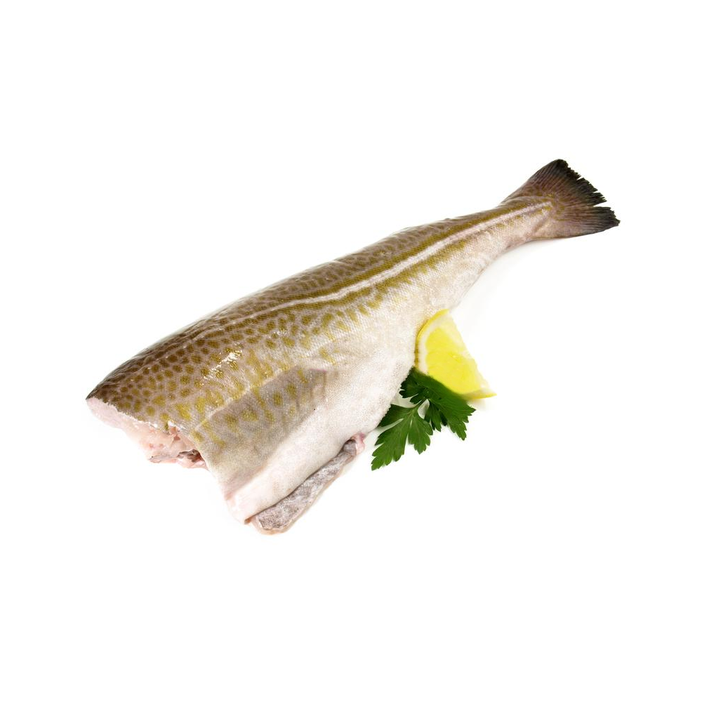 Fresh Atlantic Cod Headless