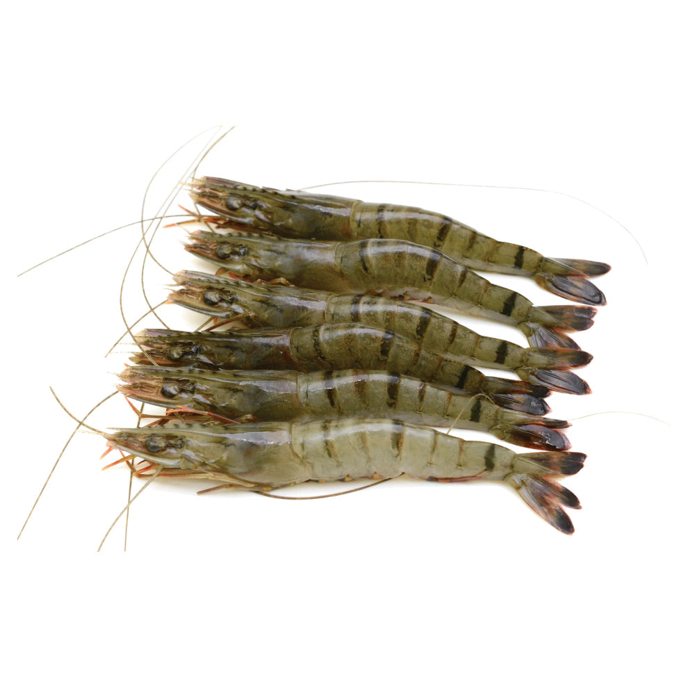 Black Tiger Shrimps 20/30