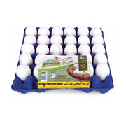 ADPF Large White Egg Tray 30 Pieces