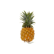 Baby Pineapple South Africa 500g Piece