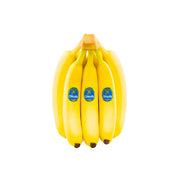 Chiquita Banana Ecuador (5-6 Pieces 1kg)