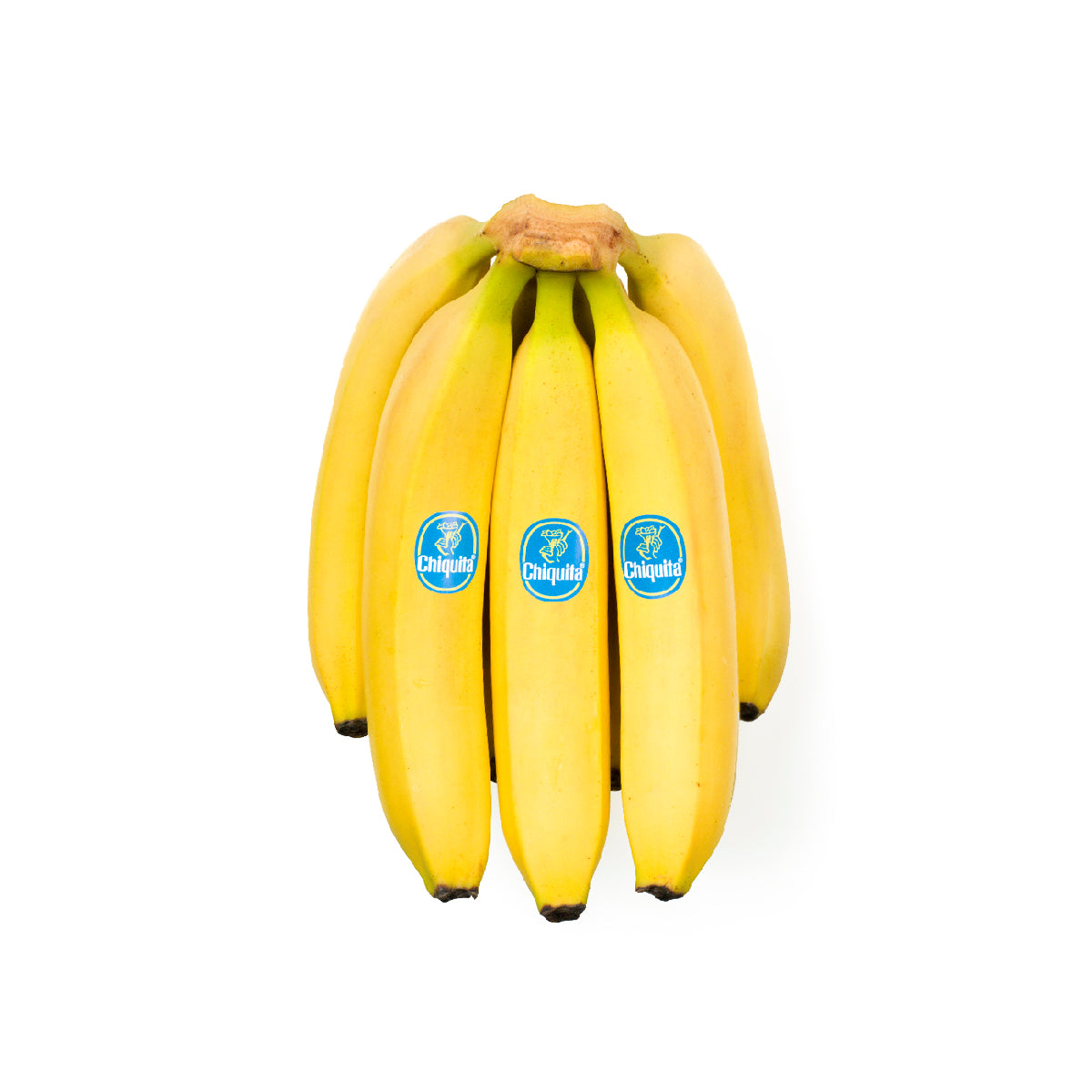 Chiquita Banana Ecuador