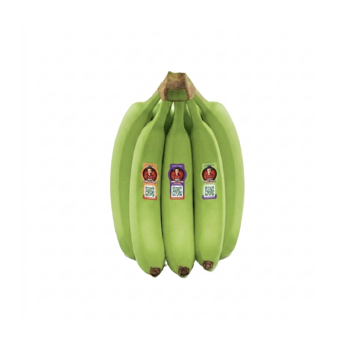 Sebastiano Banana Green Ecuador (5-6 Pieces 1kg)