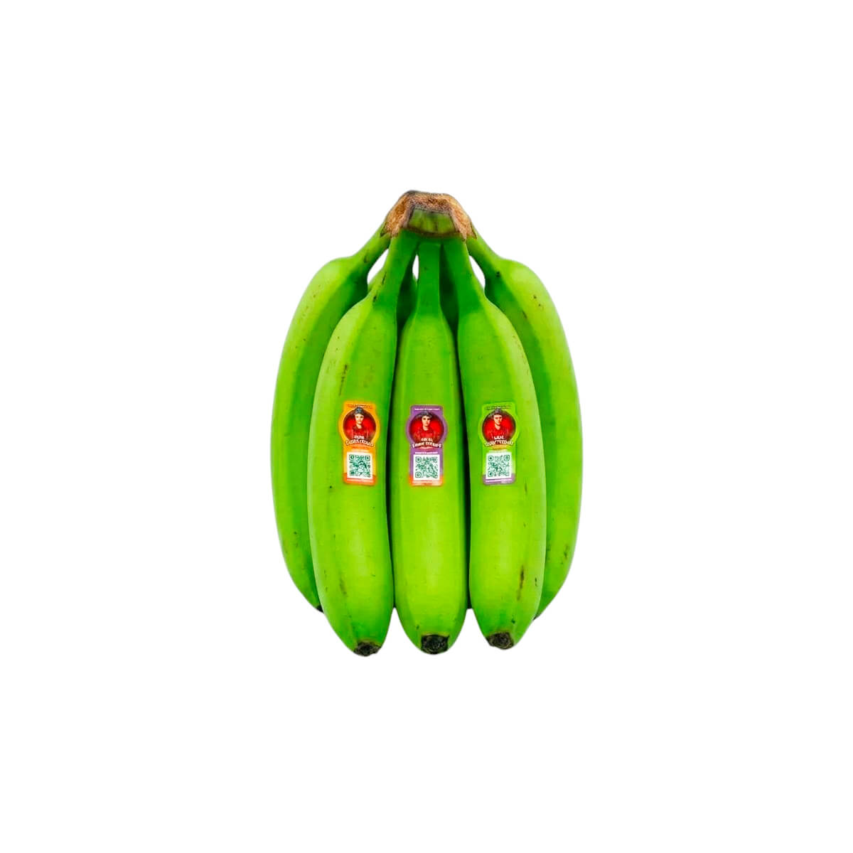 Sebastiano Banana Green Ecuador (5-6 Pieces 1kg)