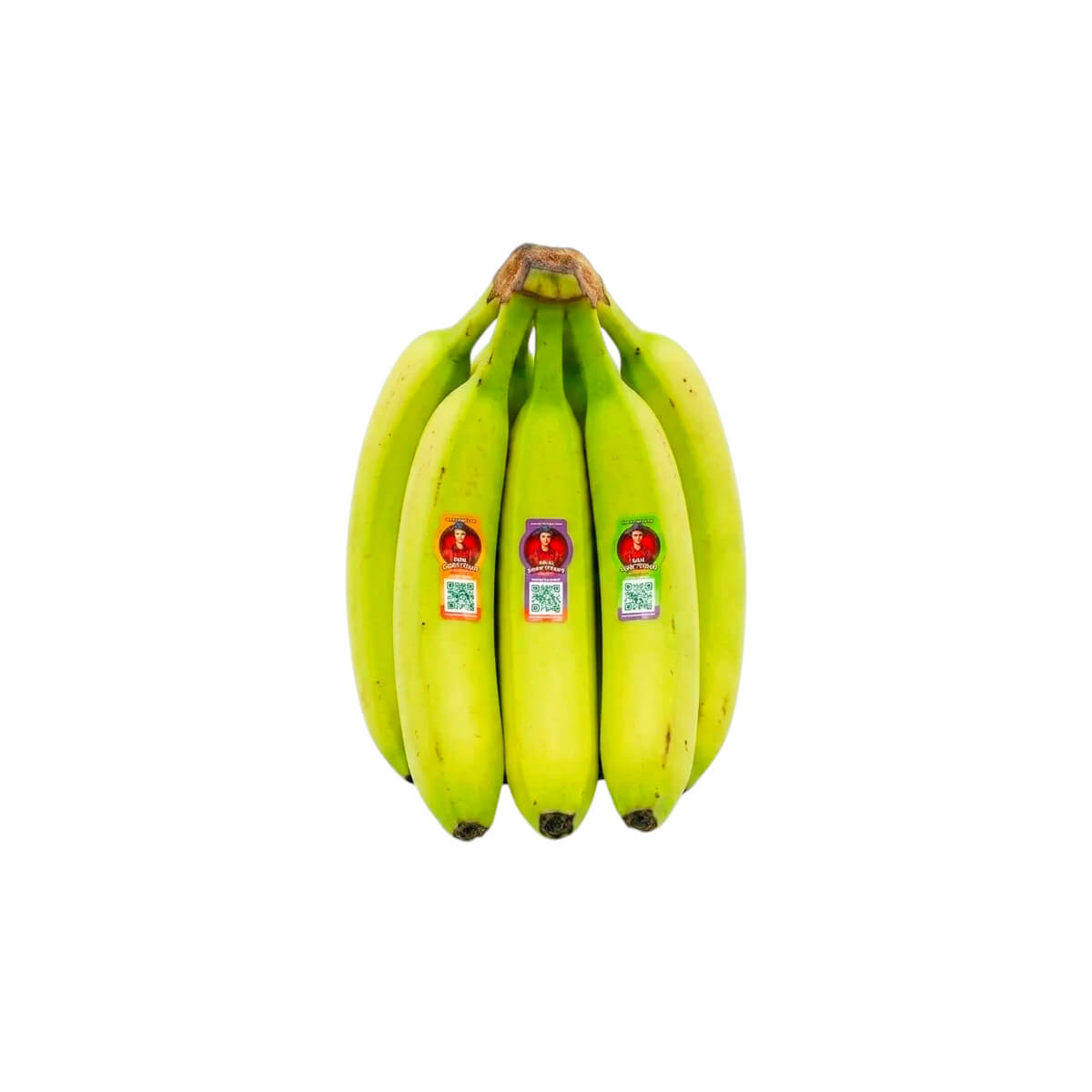 Sebastiano Banana Half Ripe Ecuador (5-6 Pieces 1kg)