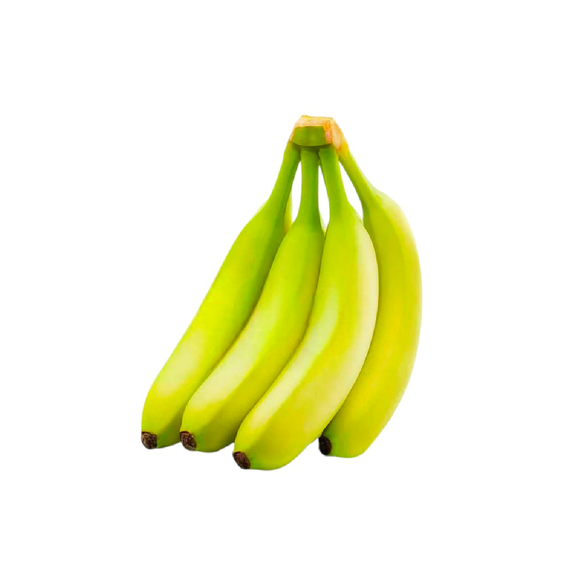 Sebastiano Banana Half Ripe Ecuador (5-6 Pieces 1kg)