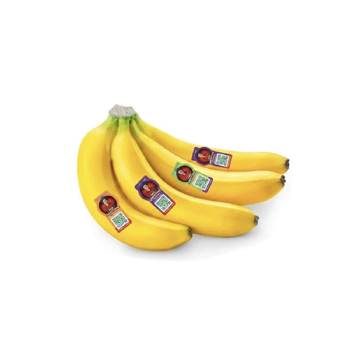 Sebastiano Banana Ecuador (5-6 Pieces 1kg)