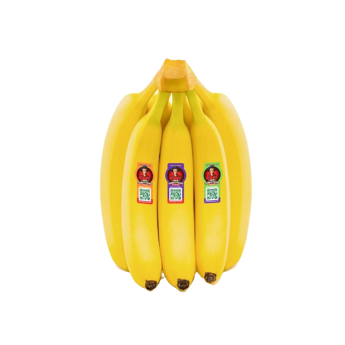 Sebastiano Banana Ecuador (5-6 Pieces 1kg)
