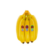 Sebastiano Banana Ecuador 500g