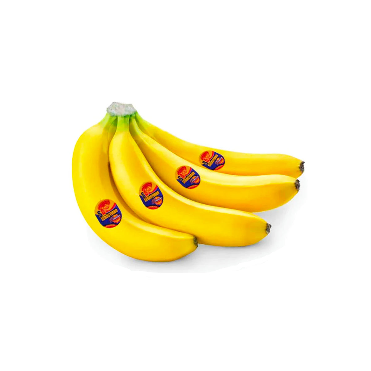 Sebastiano Banana Ecuador (5-6 Pieces 1kg)