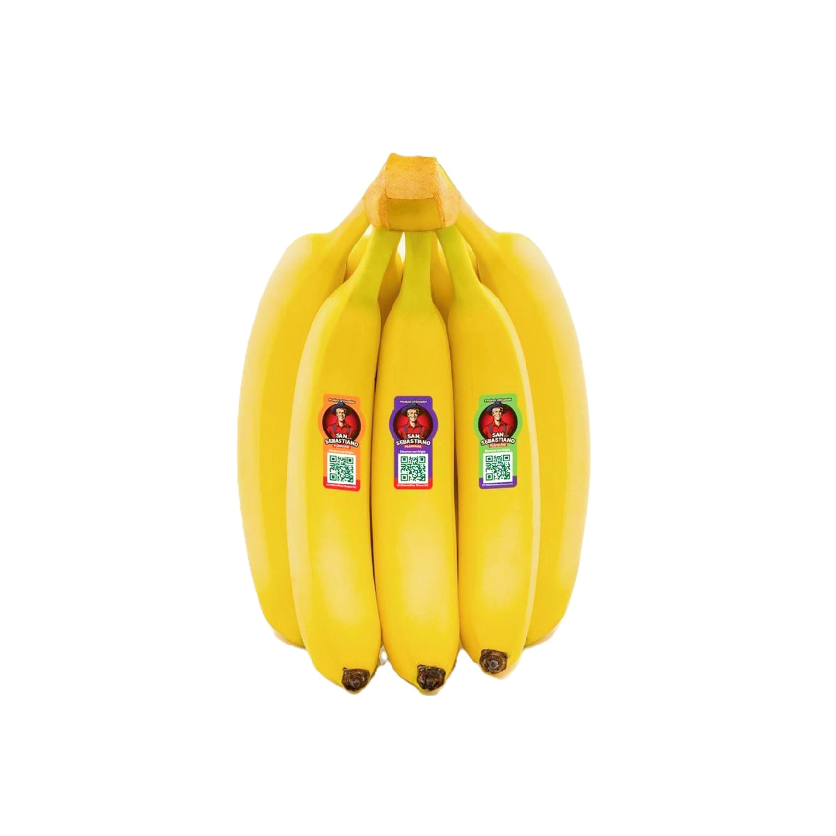 Sebastiano Banana Ecuador (5-6 Pieces 1kg)