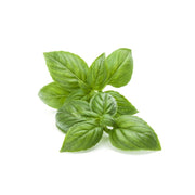 Basil Kenya 50g Pack